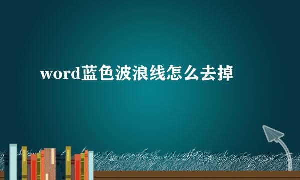 word蓝色波浪线怎么去掉
