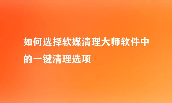如何选择软媒清理大师软件中的一键清理选项