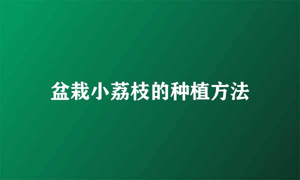 盆栽小荔枝的种植方法