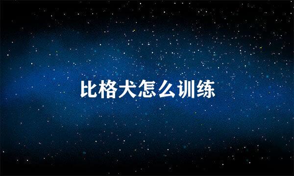 比格犬怎么训练