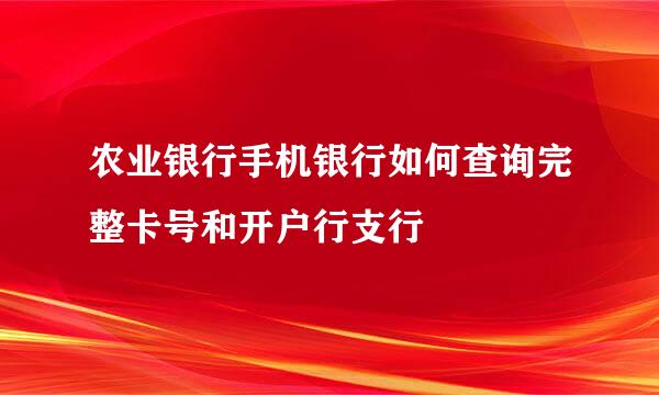 农业银行手机银行如何查询完整卡号和开户行支行