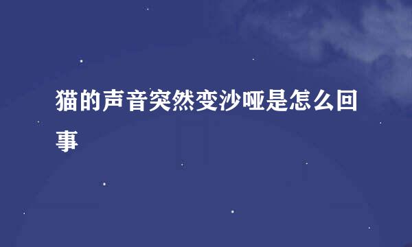 猫的声音突然变沙哑是怎么回事