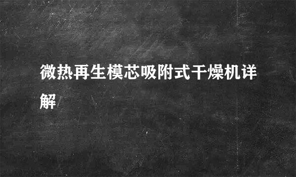 微热再生模芯吸附式干燥机详解