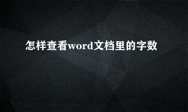 怎样查看word文档里的字数