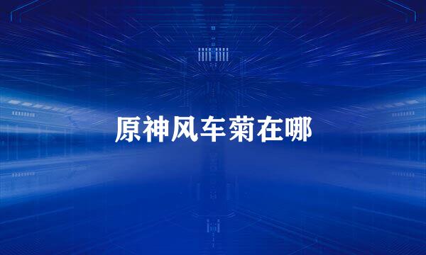 原神风车菊在哪