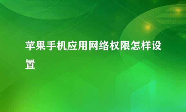 苹果手机应用网络权限怎样设置