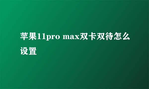 苹果11pro max双卡双待怎么设置