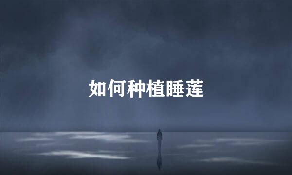 如何种植睡莲
