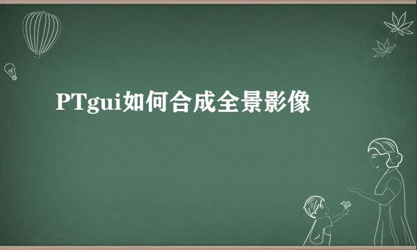 PTgui如何合成全景影像