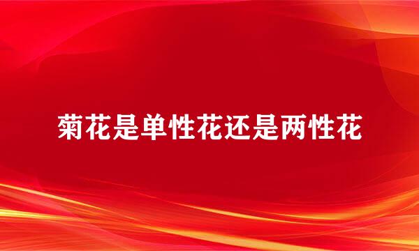 菊花是单性花还是两性花