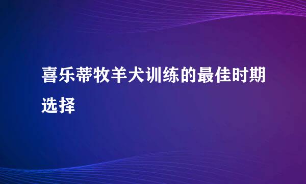 喜乐蒂牧羊犬训练的最佳时期选择