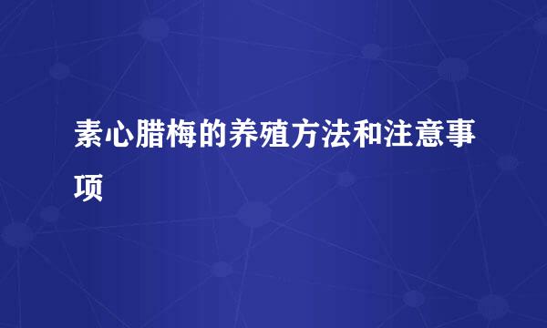 素心腊梅的养殖方法和注意事项