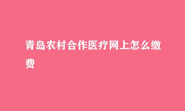 青岛农村合作医疗网上怎么缴费