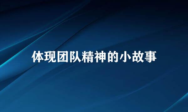体现团队精神的小故事