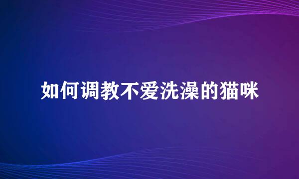 如何调教不爱洗澡的猫咪