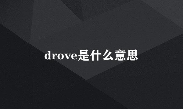 drove是什么意思