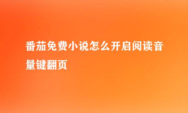 番茄免费小说怎么开启阅读音量键翻页
