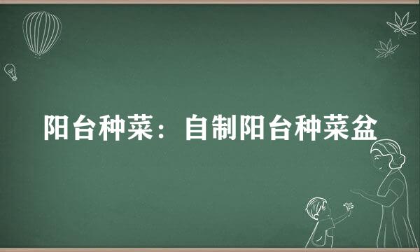 阳台种菜：自制阳台种菜盆