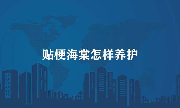 贴梗海棠怎样养护
