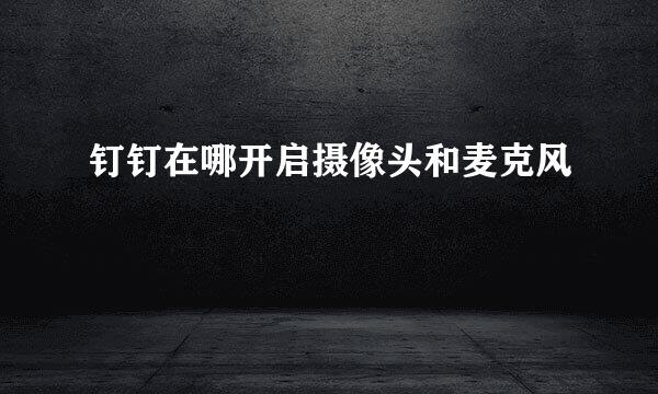 钉钉在哪开启摄像头和麦克风
