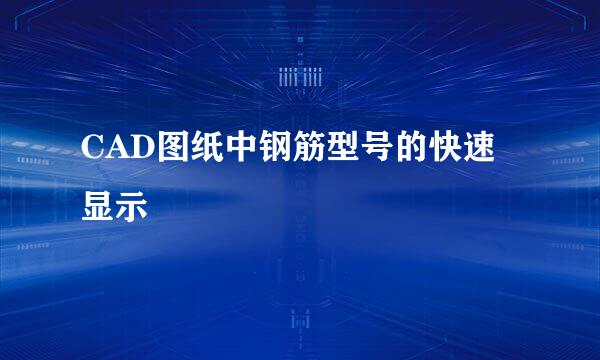 CAD图纸中钢筋型号的快速显示