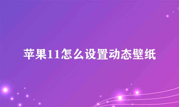 苹果11怎么设置动态壁纸