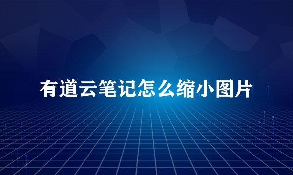 有道云笔记怎么缩小图片
