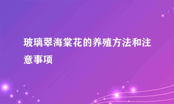 玻璃翠海棠花的养殖方法和注意事项