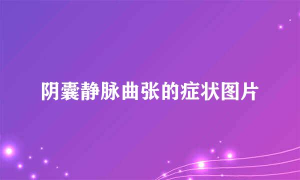 阴囊静脉曲张的症状图片