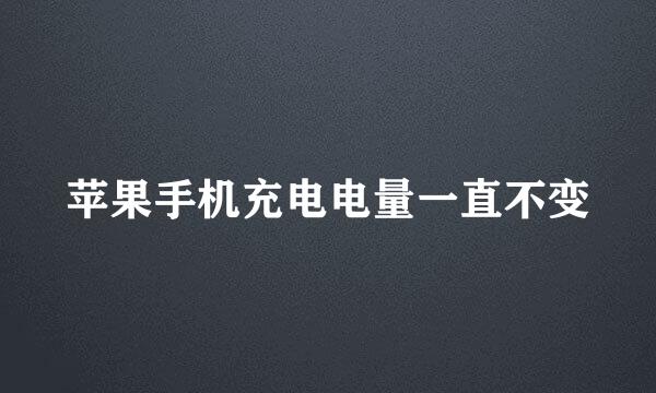 苹果手机充电电量一直不变