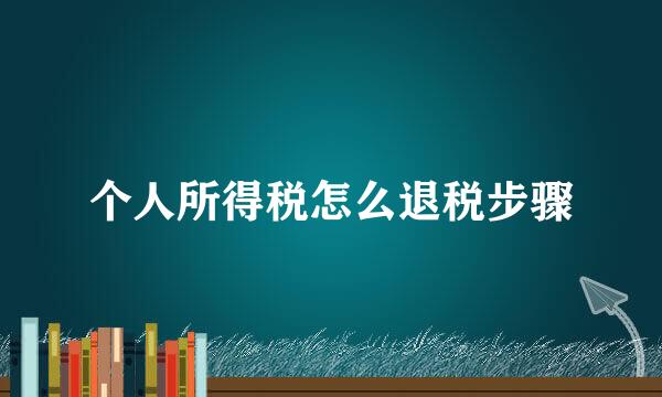 个人所得税怎么退税步骤
