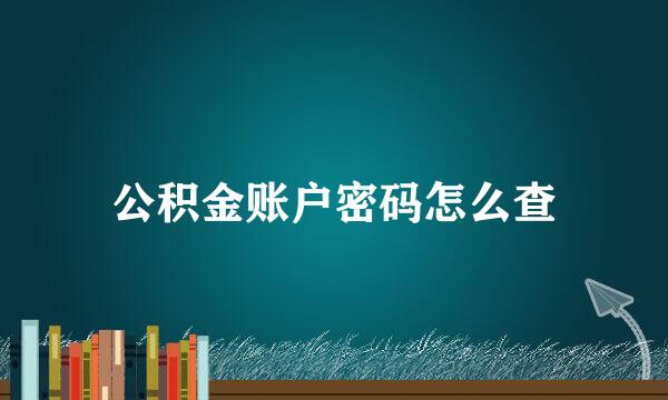公积金账户密码怎么查