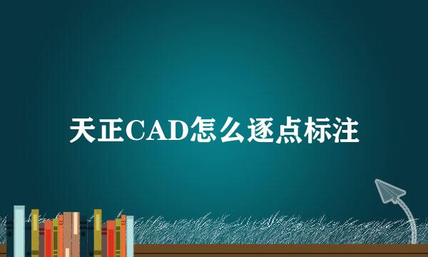 天正CAD怎么逐点标注