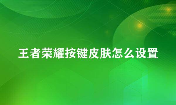 王者荣耀按键皮肤怎么设置