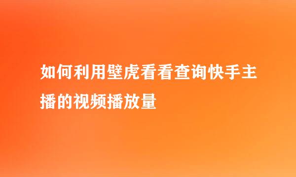 如何利用壁虎看看查询快手主播的视频播放量