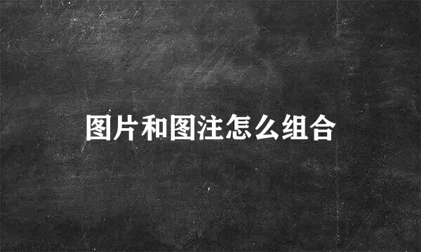 图片和图注怎么组合