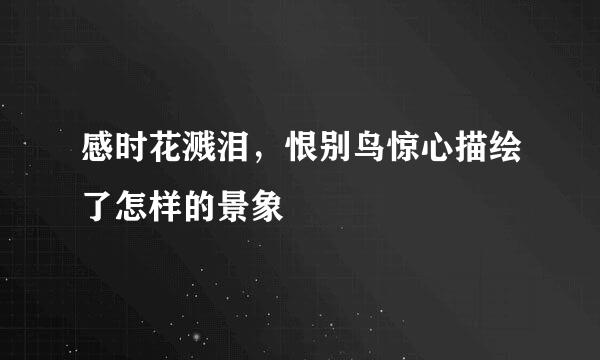 感时花溅泪，恨别鸟惊心描绘了怎样的景象