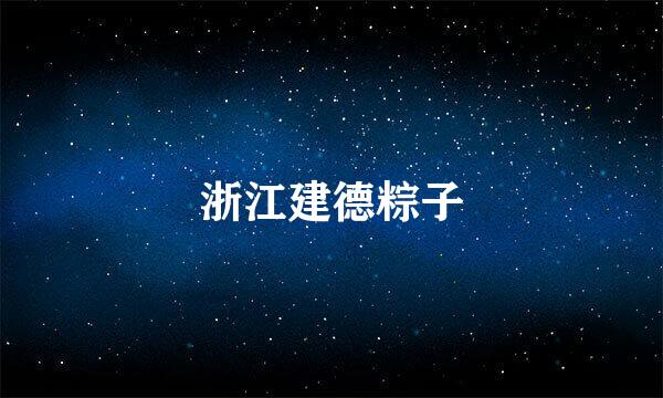 浙江建德粽子