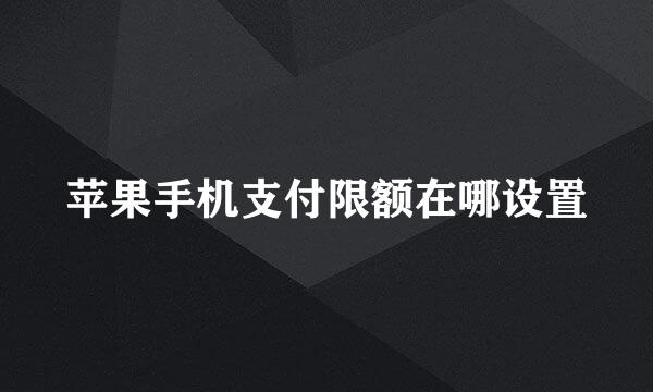 苹果手机支付限额在哪设置
