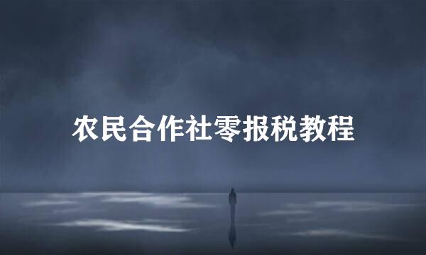 农民合作社零报税教程