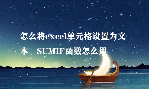 怎么将excel单元格设置为文本、SUMIF函数怎么用