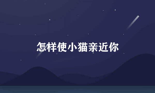 怎样使小猫亲近你