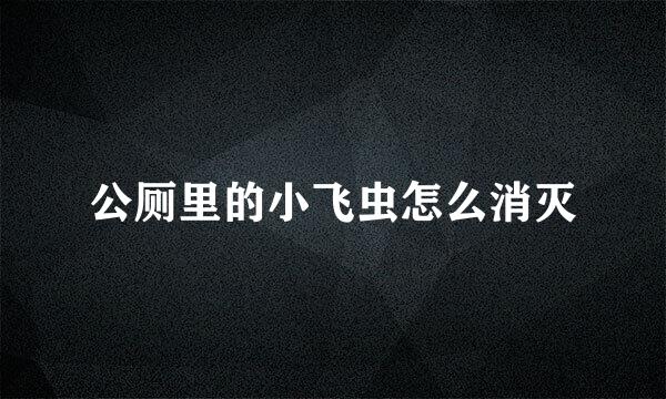 公厕里的小飞虫怎么消灭