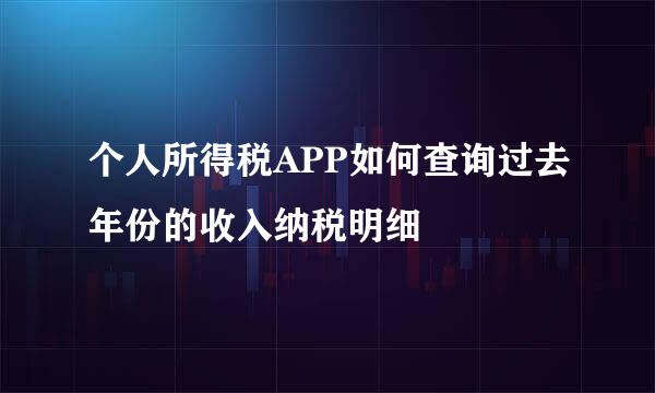 个人所得税APP如何查询过去年份的收入纳税明细