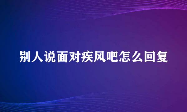 别人说面对疾风吧怎么回复