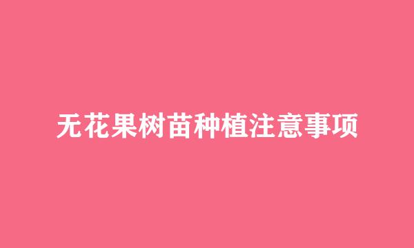 无花果树苗种植注意事项