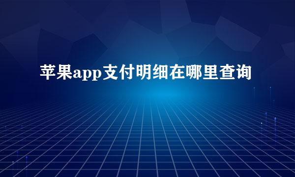 苹果app支付明细在哪里查询