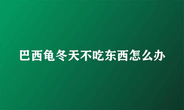 巴西龟冬天不吃东西怎么办