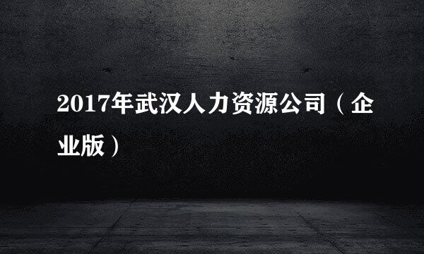 2017年武汉人力资源公司(企业版)