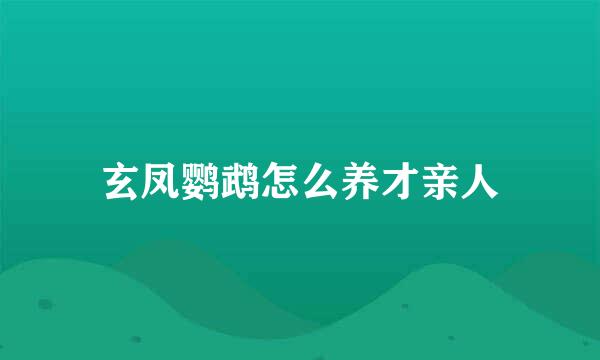 玄凤鹦鹉怎么养才亲人